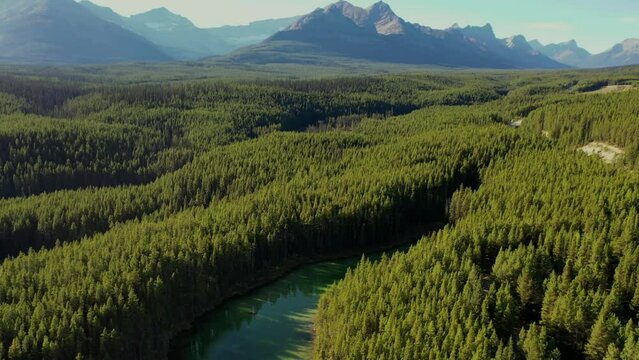 Aerial view of Lake Herbert