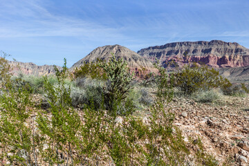 Beautiful utah and nevada mountains