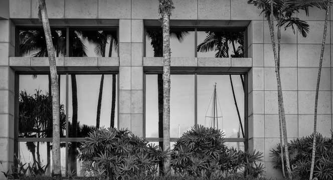 Reflections in Two Parallel Picture Windows in Monochrome.