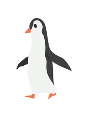 Selbstklebende Fototapeten North pole arctic fauna. Polar penguin  illustration in flat style. Little penguin fishing in the north. Arctic animal icon. Winter zoo design element © the8monkey