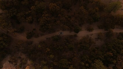 Road in the middle of a forest in northern mexico