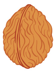Walnut  flat icon. Cartoon illustration of whole nut in shell. Omega-3 product - obrazy, fototapety, plakaty