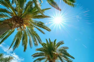 Low angle view of tropical coconut palm trees with clear blue sky - AI Generated. Beautiful simple AI generated image in 4K, unique.