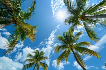 Coconut palm tree sunlight in summer - clouds with blue sky background. Vintage color tone effect. Beautiful simple AI generated image in 4K, unique. - obrazy, fototapety, plakaty
