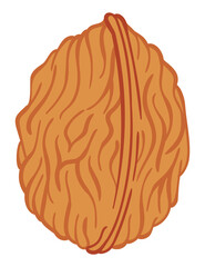 Walnut  flat icon. Cartoon illustration of whole nut in shell. Omega-3 product