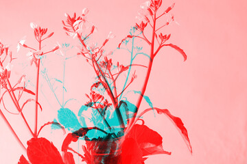 Creative colors double exposure of  floral background design.