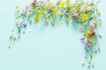 wild spring flowers on paper background