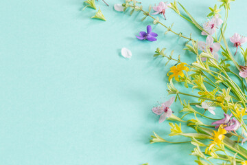 wild spring flowers on paper background - 783198277