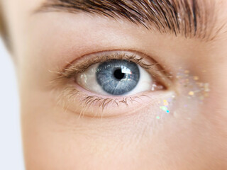 Obraz premium blue female eye with healthy light eyelashes and thick eyebrows. healthy eyes concept