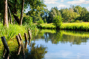 Scenic view national biosphere reserve Spreewald landscape. Green  woods riverside german park Spree river forest spring summer sunny day. Greenery canal nature tranquil Germany blue sky background