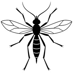 black-mosquito-on-white-background