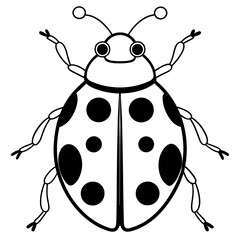 ladybird illustration