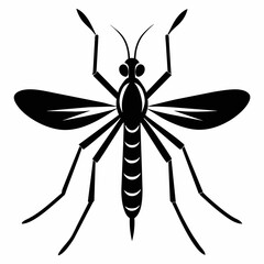 black and white dragonfly