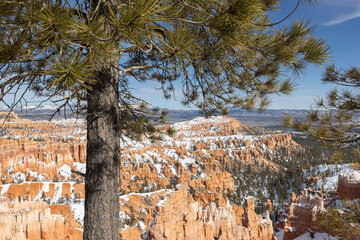 shots of different spots at bryce canyon in utah