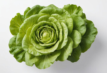 Fototapeta premium Fresh lettuce on isolated white background , juicy and fresh, top view, Flat lay, no shadows