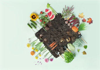 Organic four seasons fruits and vegetables concept