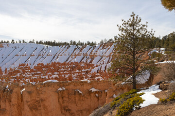 shots of different spots at bryce canyon in utah