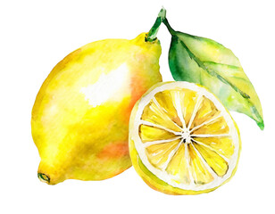 Watercolor lemon isolated on white background, Lemon PNG, PNG file