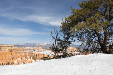 shots of different spots at bryce canyon in utah