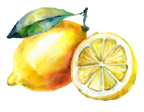 Watercolor lemon isolated on white background, Lemon PNG, PNG file