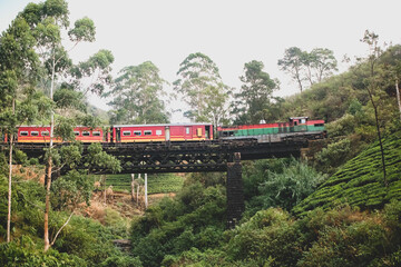 Sri lanka train in bridge