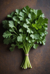 a parsley in editorial photography