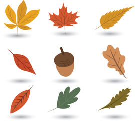 Free vector autumn leaves background