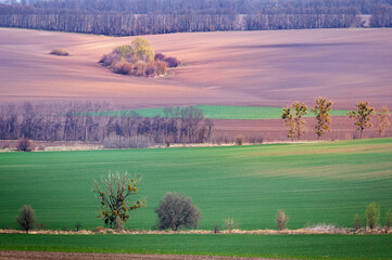Spring in the fields in Ukraine