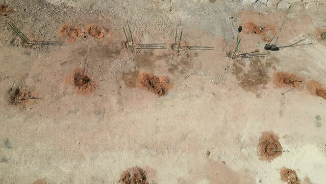 planting trees in a deserted area top view