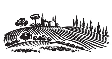 Vineyard landscape, Sketch, hand drawn illustrations.	
