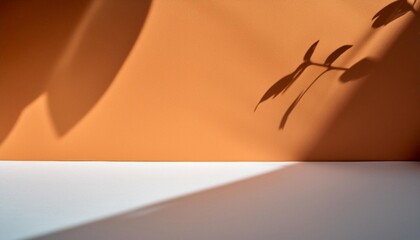 Fondo de color blanco y pared de color naranja con sombras, recurso gráfico para presentación de productos