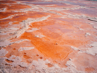 red salt lake in the desert