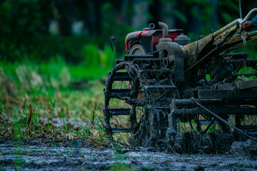 red tractor in the field