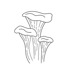 Vector isolated three chanterelle mushrooms colorless black and white contour line easy drawing