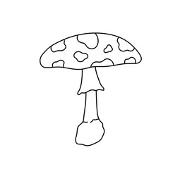 Vector isolated one single simple fly agaric mushroom  colorless black and white contour line easy drawing