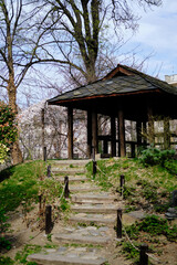 Beautiful wooden gazebo in the spring park. A stone staircase leads to the recreation area. Japanese Garden in Botanical Garden Jevremovac , Belgrade- Serbia.