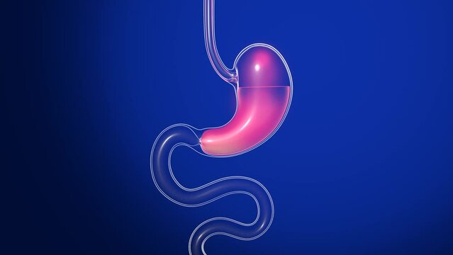 3D animation of stomach with burning. Transparent glass anatomy with moving lights. With reflections on a dark blue background.