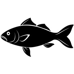 fish isolated on white background