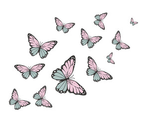 Obraz premium pink and blue butterfly flock hand drawn design