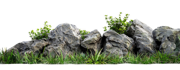 Green moss with decorative rocks and grass isolated on transparent background
