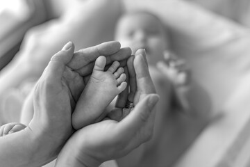 IVF, baby care leave, little cute feet of a newborn baby, mother's hands hold baby's foot