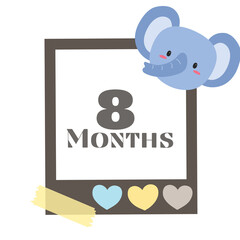 elephant © betania