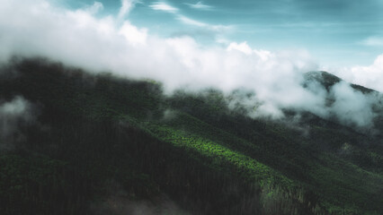 Fototapeta premium Misty Forested Mountains