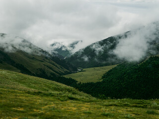Misty Valley in the Mountains