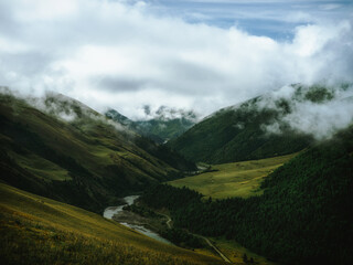 Misty Valley Landscape