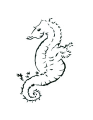 タツノオトシゴ