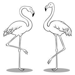 Naklejka premium Pink flamingo bird coloring retro PNG illustration. Isolated image on white background. Comic book style imitation.