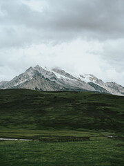 Fototapeta premium Green Fields under Snowy Mountains