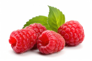 Four red ripe fresh raspberries with raspberry leaves on isolated white background. Organic farm food, fresh market, supermarket, healthy products.