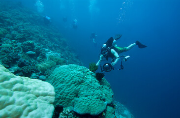Underwater photographer.